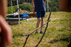 img_0451