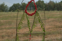 image301