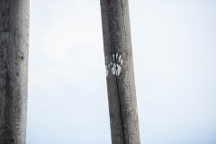 image315