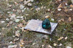 image320